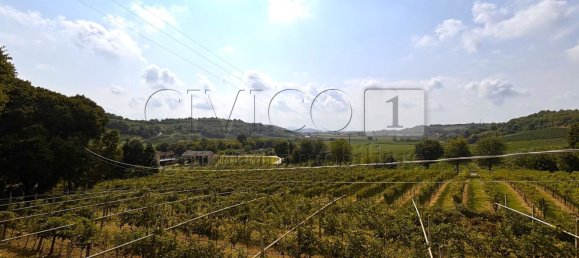 9 bedrooms House in Barbarano Mossano, Italy No. 319402 15