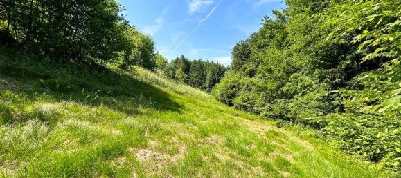 Дом с 7 комнатами в Регау, Австрия № 95309 16