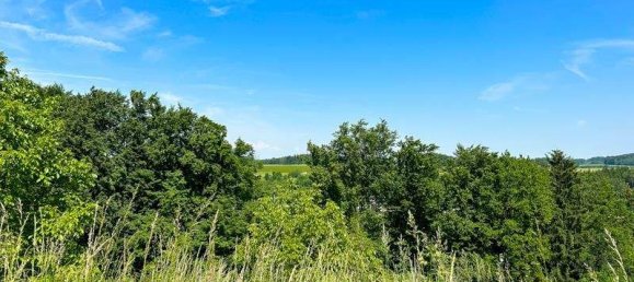 Дом с 7 комнатами в Регау, Австрия № 95309 2