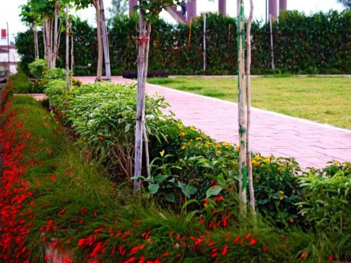 Terrain à Indore, India No. 30649