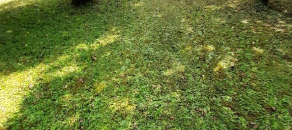 Terreno em Alb-Donau-Kreis, Germany N.º 221876 3