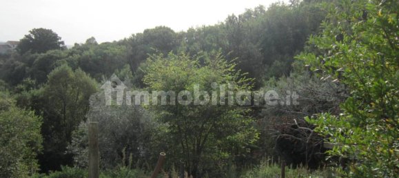 2 bedrooms House in Pietrabbondante, Italy No. 342518 19