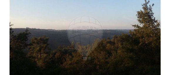 1 bedroom House in Povoa de Midoes, Portugal No. 70476 9