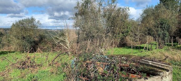 1 bedroom House in Povoa de Midoes, Portugal No. 70476 13