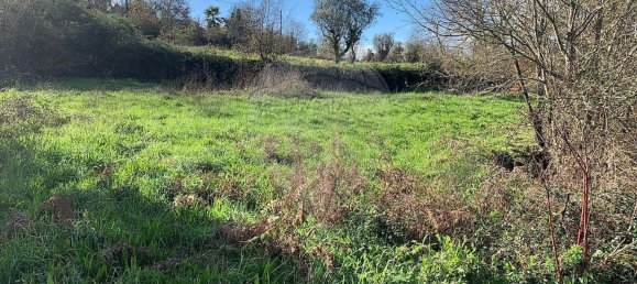 1 bedroom House in Povoa de Midoes, Portugal No. 70476 12