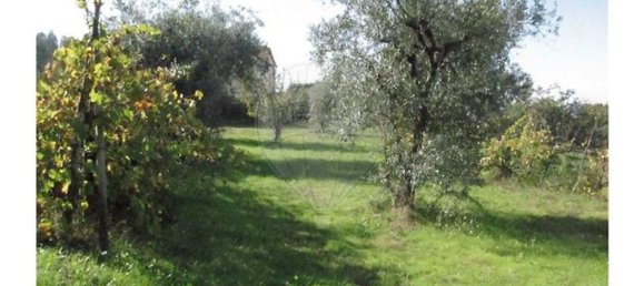 1 bedroom House in Povoa de Midoes, Portugal No. 70476 24