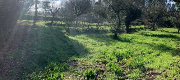 1 bedroom House in Povoa de Midoes, Portugal No. 70476 15