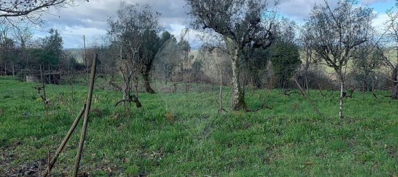 1 bedroom House in Povoa de Midoes, Portugal No. 70476 22