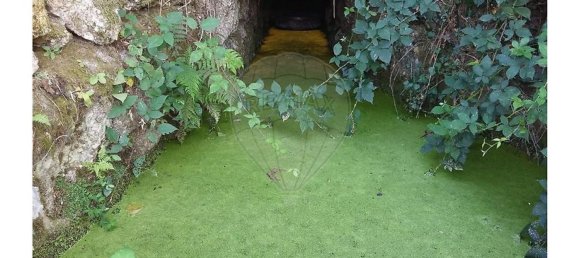 1 bedroom House in Povoa de Midoes, Portugal No. 70476 8