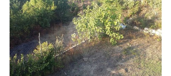 1 bedroom House in Povoa de Midoes, Portugal No. 70476 7