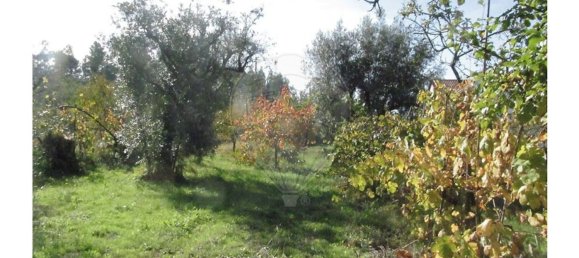 1 bedroom House in Povoa de Midoes, Portugal No. 70476 4