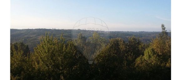 1 bedroom House in Povoa de Midoes, Portugal No. 70476 6