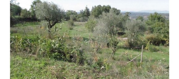 1 bedroom House in Povoa de Midoes, Portugal No. 70476 3