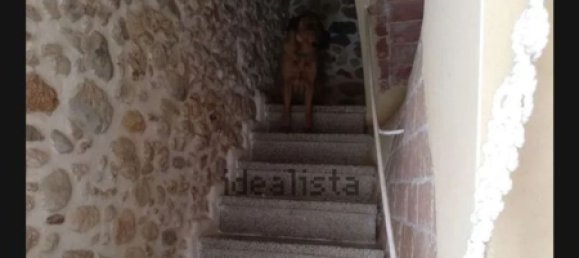 3 غرف نوم منزل في Mont-roig del Camp, Spain رقم 149600 6