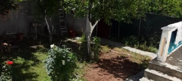 2 bedrooms House in Vilia, Greece No. 92920 5