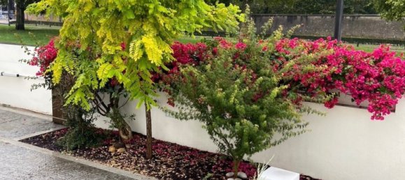 5 bedrooms Villa in Porto, Portugal No. 101229 19