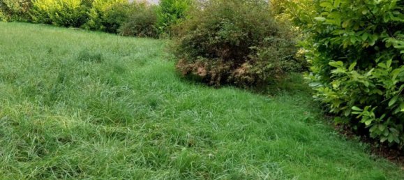 7 bedrooms House in Troyes, France No. 81308 6