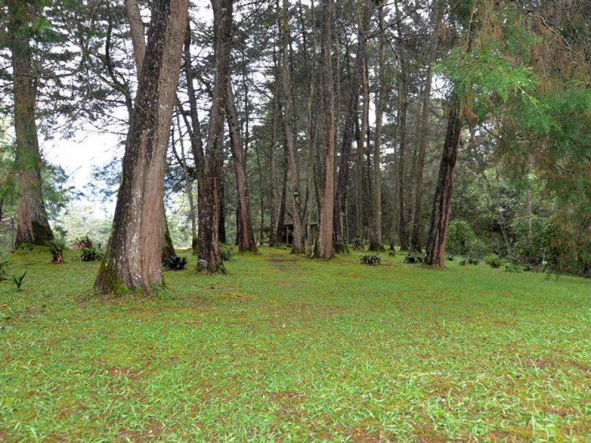 Terreno em Antioquia, Colombia N.º 148