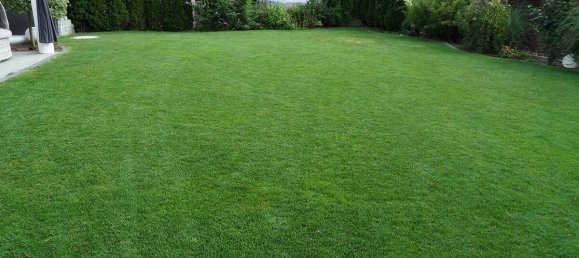 5 chambres Maison à Pfaffenhofen an der Ilm, Germany No. 315183 3