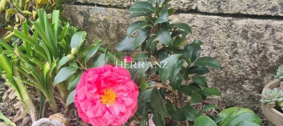 4 bedrooms House in Puynormand, France No. 101966 17