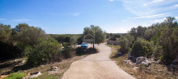 7 غرف نوم مزرعة في Alaior, Spain رقم 1630 18