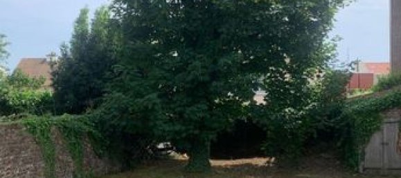 7 bedrooms Apartment in Le Havre, France No. 311888 16