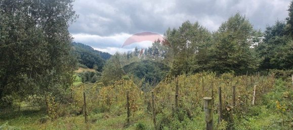 Grundstück in Borba de Montanha, Portugal 4260m², Nr. 43010 4