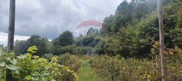 Grundstück in Borba de Montanha, Portugal 4260m², Nr. 43010 3