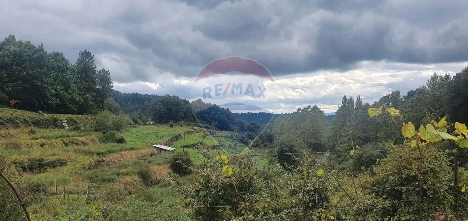 Grundstück in Borba de Montanha, Portugal 4260m², Nr. 43010