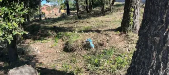 Земельный участок 1046м² в Кальдес-де-Монтбуи, Испания № 143018 15