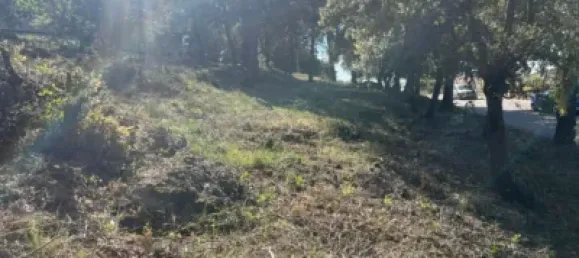 Земельный участок 1046м² в Кальдес-де-Монтбуи, Испания № 143018 9