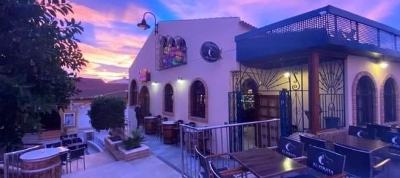 3 bedrooms Villa in Pilar de la Horadada, Spain No. 11480 11