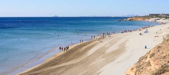 3 bedrooms Villa in Pilar de la Horadada, Spain No. 11480 7