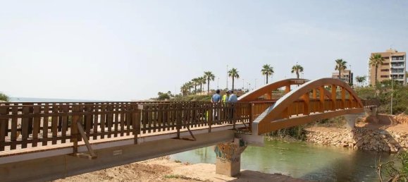 3 bedrooms Villa in Pilar de la Horadada, Spain No. 11480 8