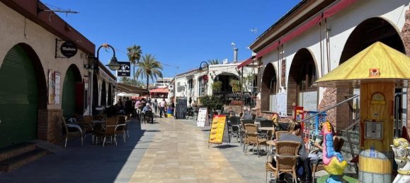 3 bedrooms Villa in Pilar de la Horadada, Spain No. 11480 10