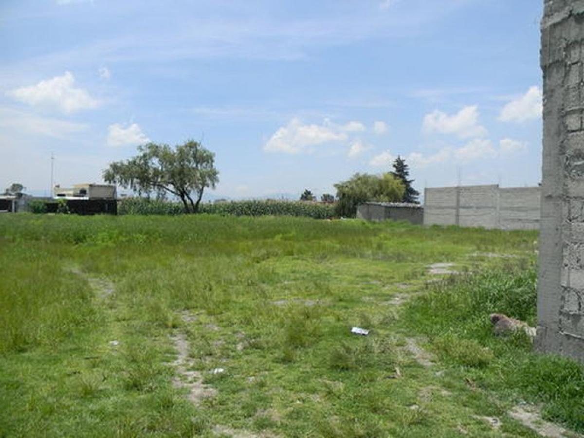  Land in San Buenaventura, Mexico No. 202569