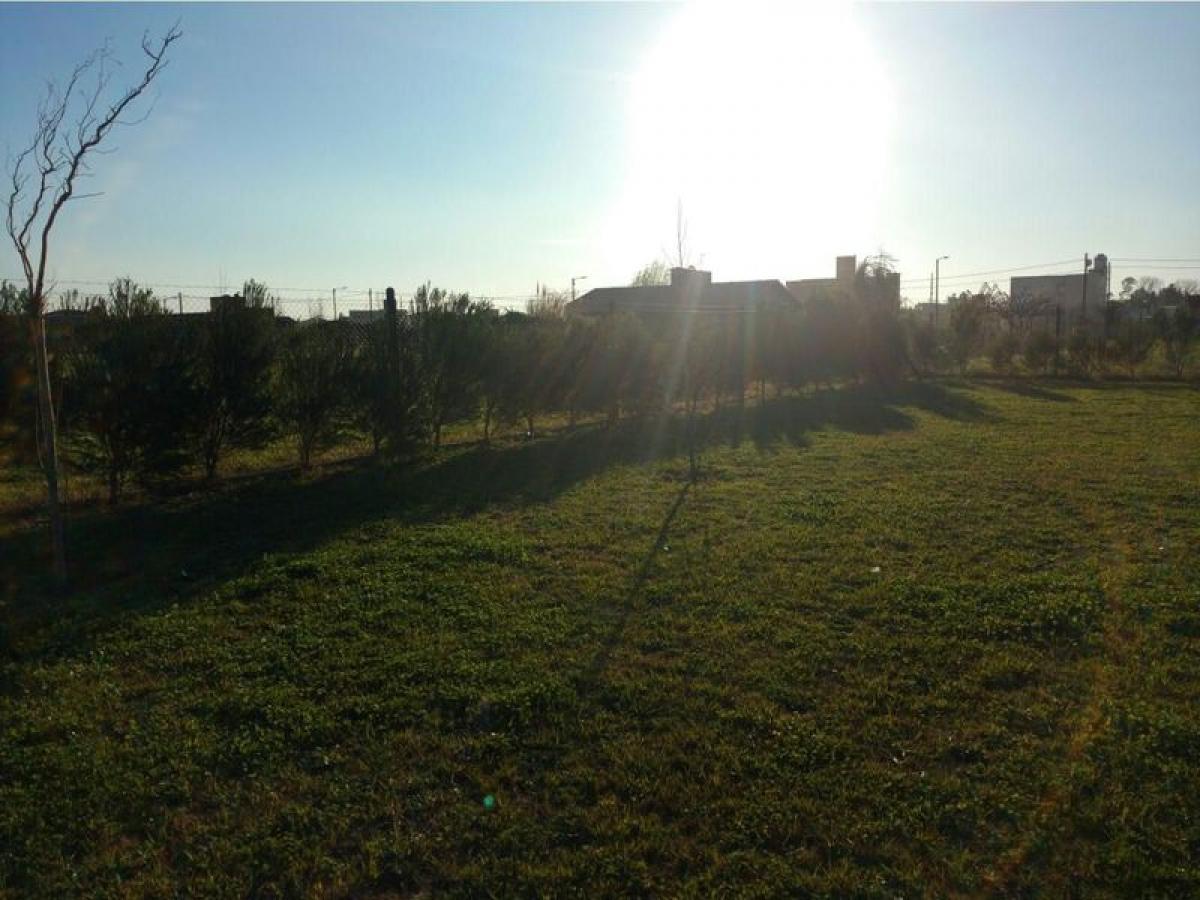  Land in Santa Fe, Argentina No. 44281