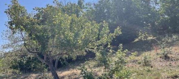 Дом с 2 комнатами в Чефалу, Италия № 112006 23