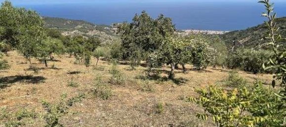 Дом с 2 комнатами в Чефалу, Италия № 112006 18