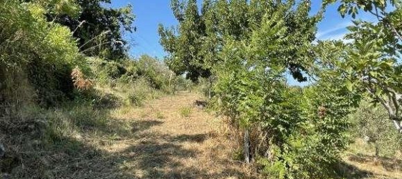 Дом с 2 комнатами в Чефалу, Италия № 112006 13