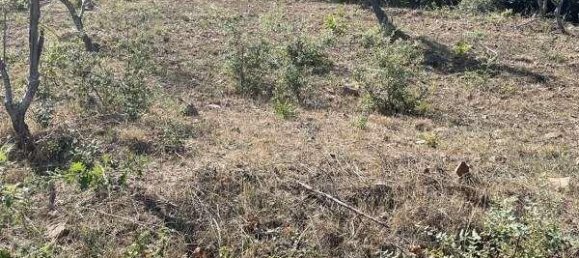 Дом с 2 комнатами в Чефалу, Италия № 112006 16