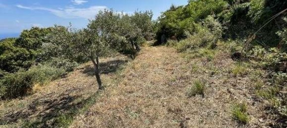 Дом с 2 комнатами в Чефалу, Италия № 112006 25