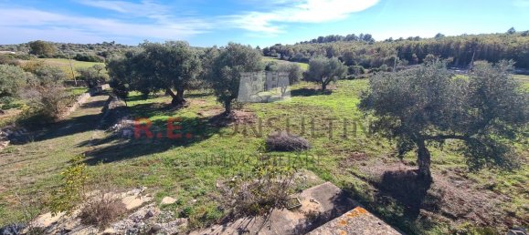 4-Zimmer Haus in Ceglie Messapica, Italy, Nr. 84567 12