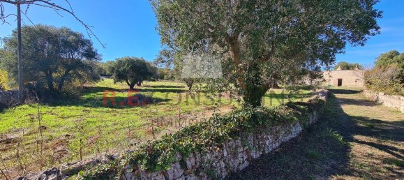 4-Zimmer Haus in Ceglie Messapica, Italy, Nr. 84567 13