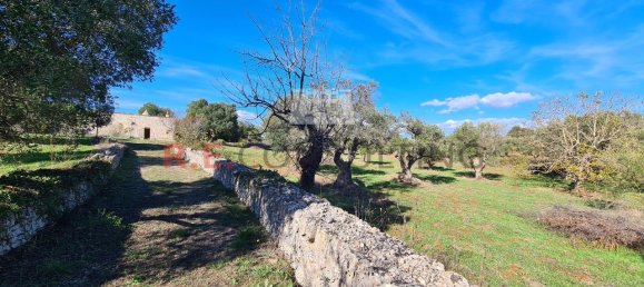 4-Zimmer Haus in Ceglie Messapica, Italy, Nr. 84567 14