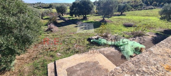 4-Zimmer Haus in Ceglie Messapica, Italy, Nr. 84567 24