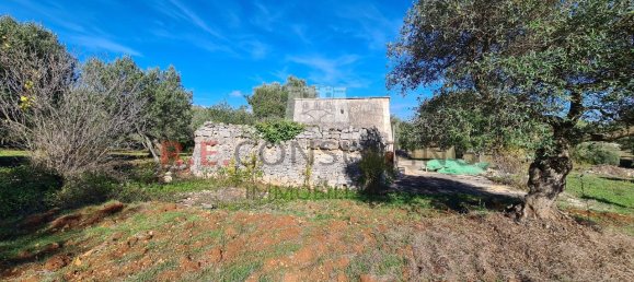 4-Zimmer Haus in Ceglie Messapica, Italy, Nr. 84567 17