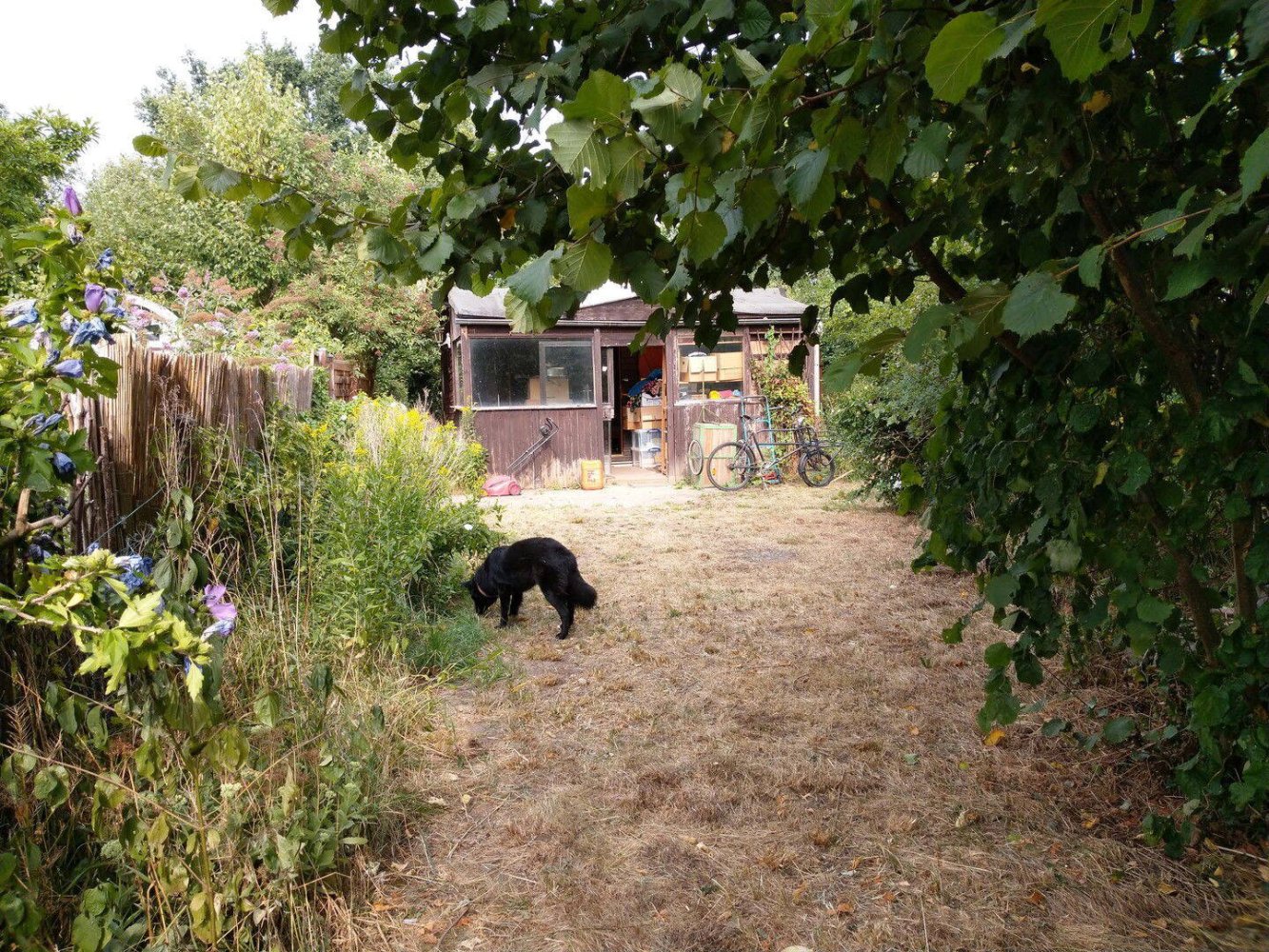  قطعة أرض في Bremen, Germany رقم 335606