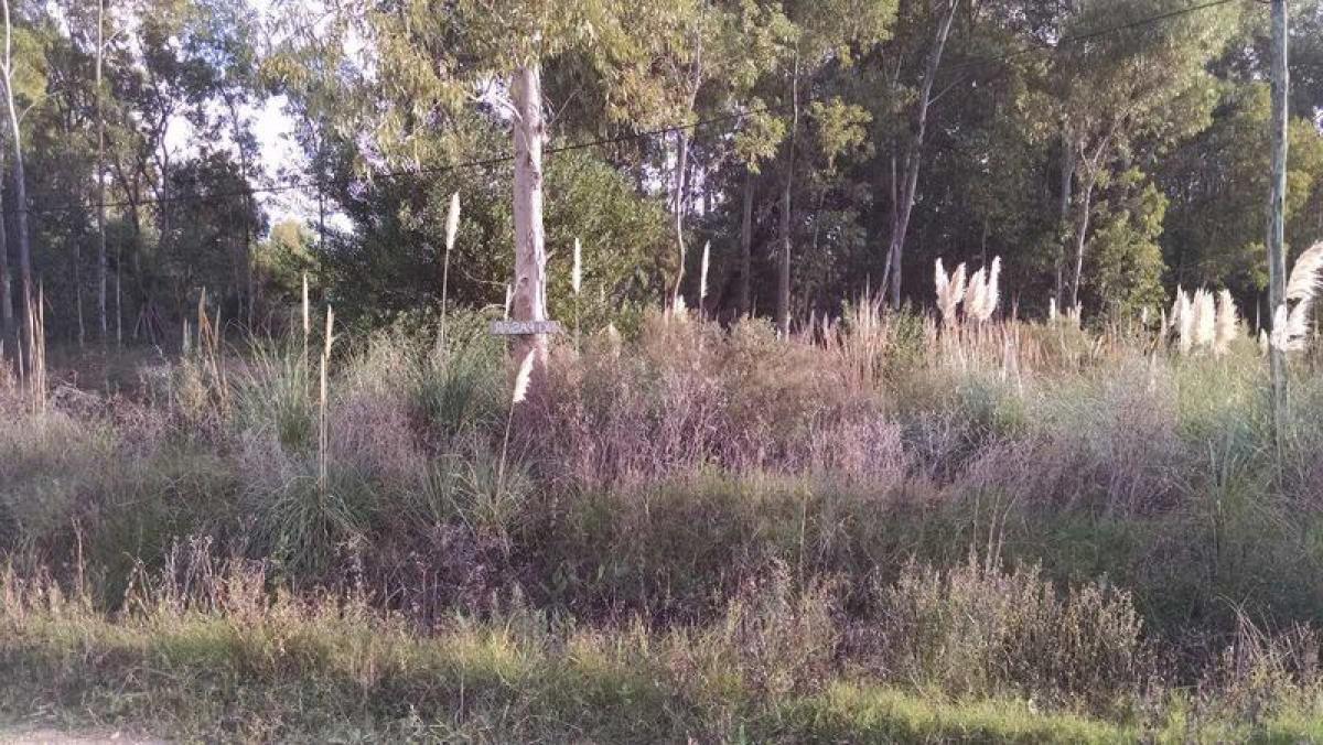 Grundstück in Maldonado, Uruguay, Nr. 14828