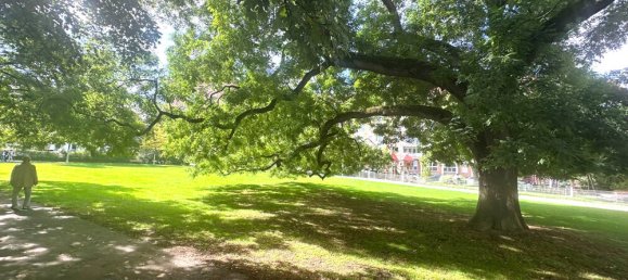 Студия в Мангейм, Германия № 295246 21